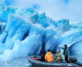 Glaciers and Wildlife