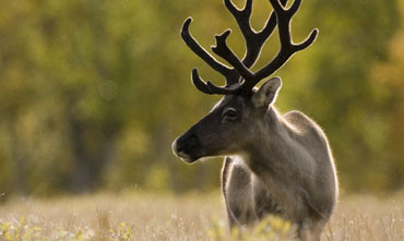 Best National Parks