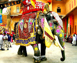 Colorful Rajasthan