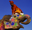 Colorful Rajasthan