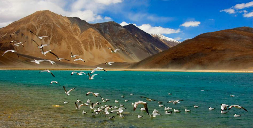 Expedition to Laddakh