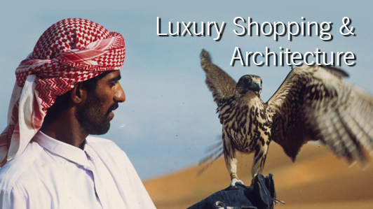 Dubai Shopping Festival - 2020