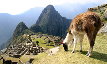 Machu Picchu