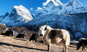 Sagarmatha National Park
