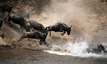 Serengeti National Park