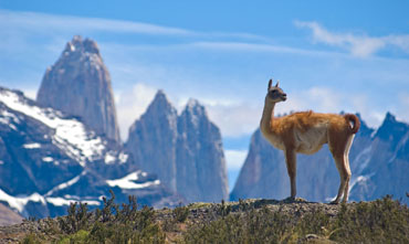Torres Del Paine National Park